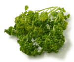 persil frais