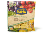 girasoli légumes du soleil