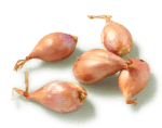 échalote