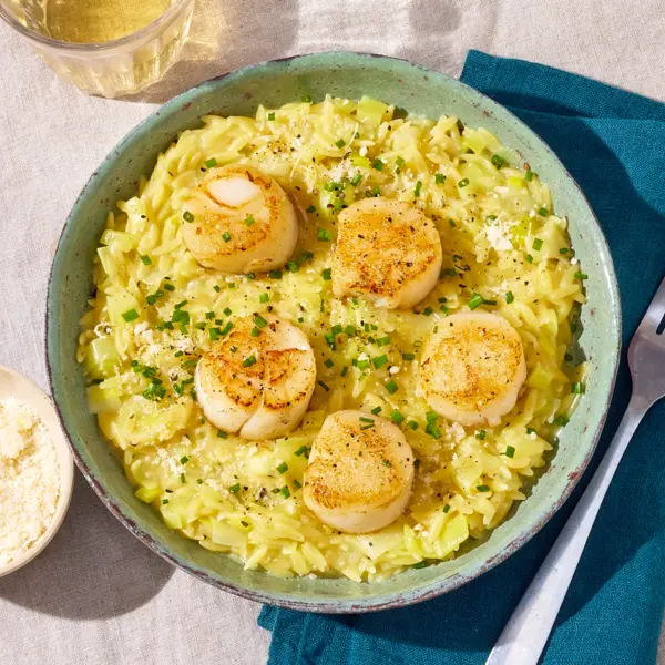 Orzotto, poireaux & saint-jacques