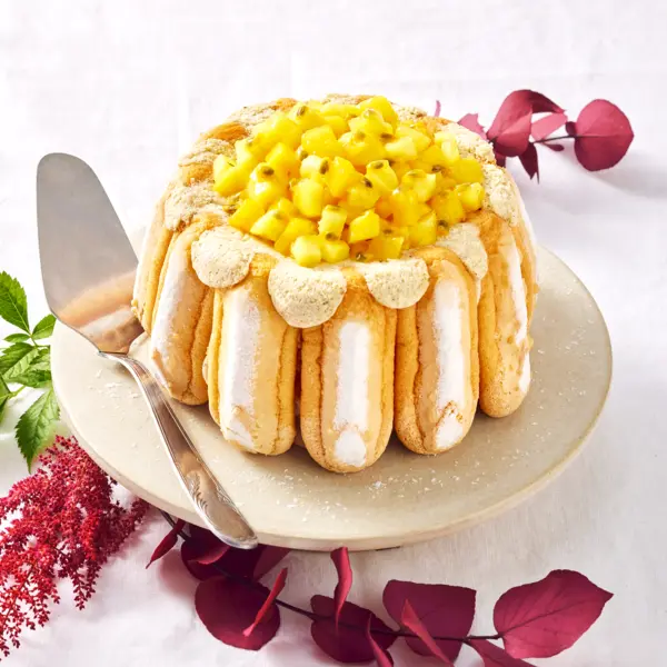 Charlotte aux fruits exotiques et vanille